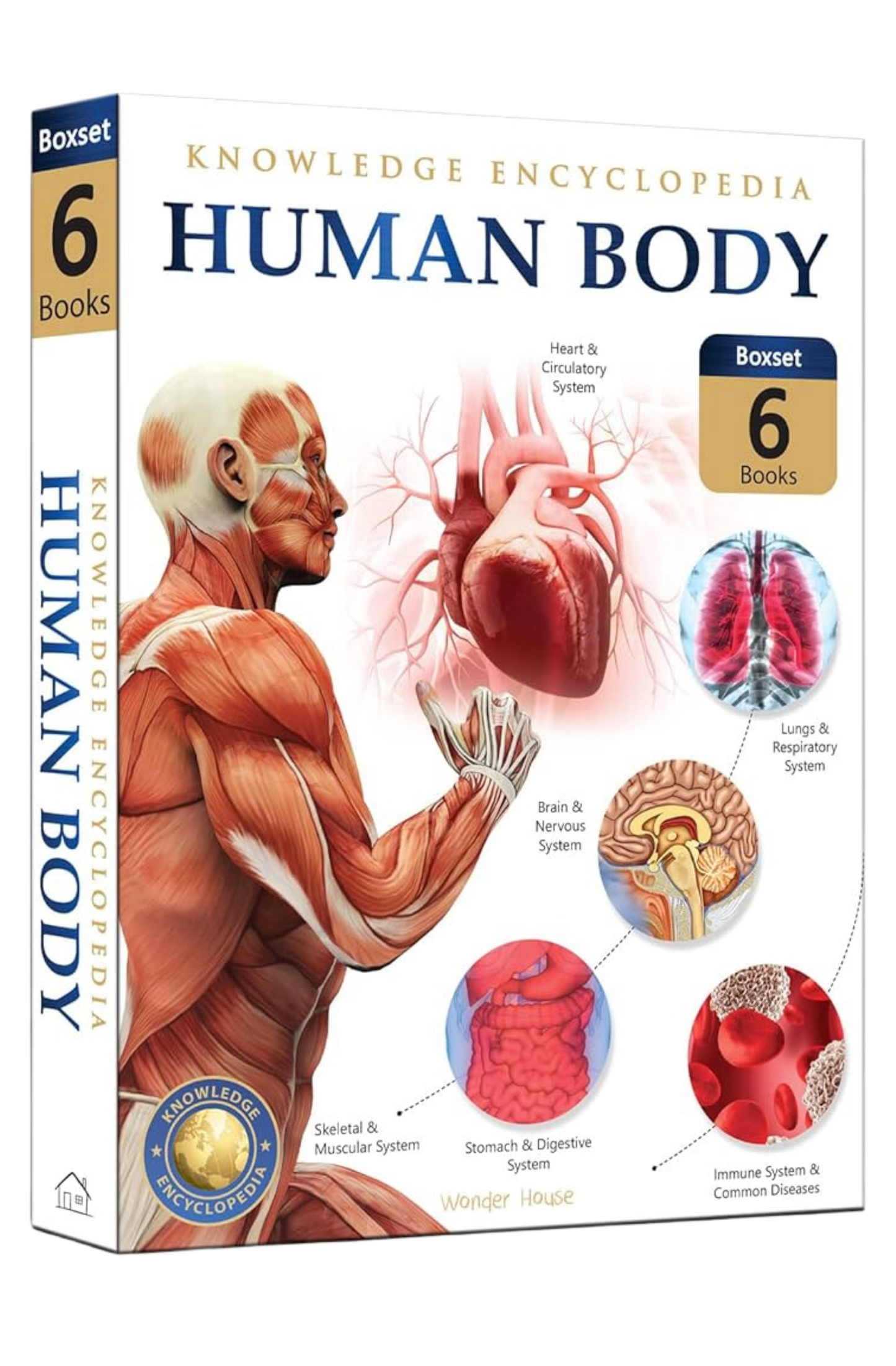 Human Body Box Set: Knowledge Encyclopedia For Children