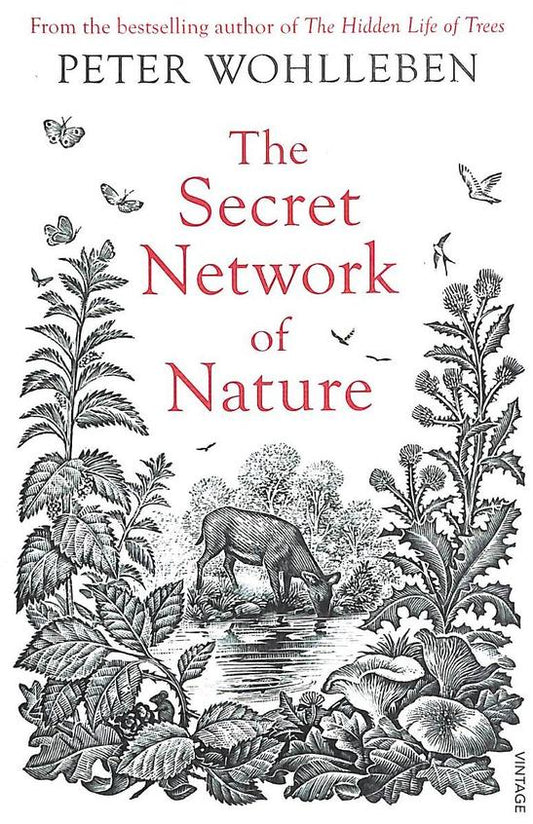 The Secret Network of Nature: The Delicate Balance of All Living Things (The Mysteries of Nature #3)