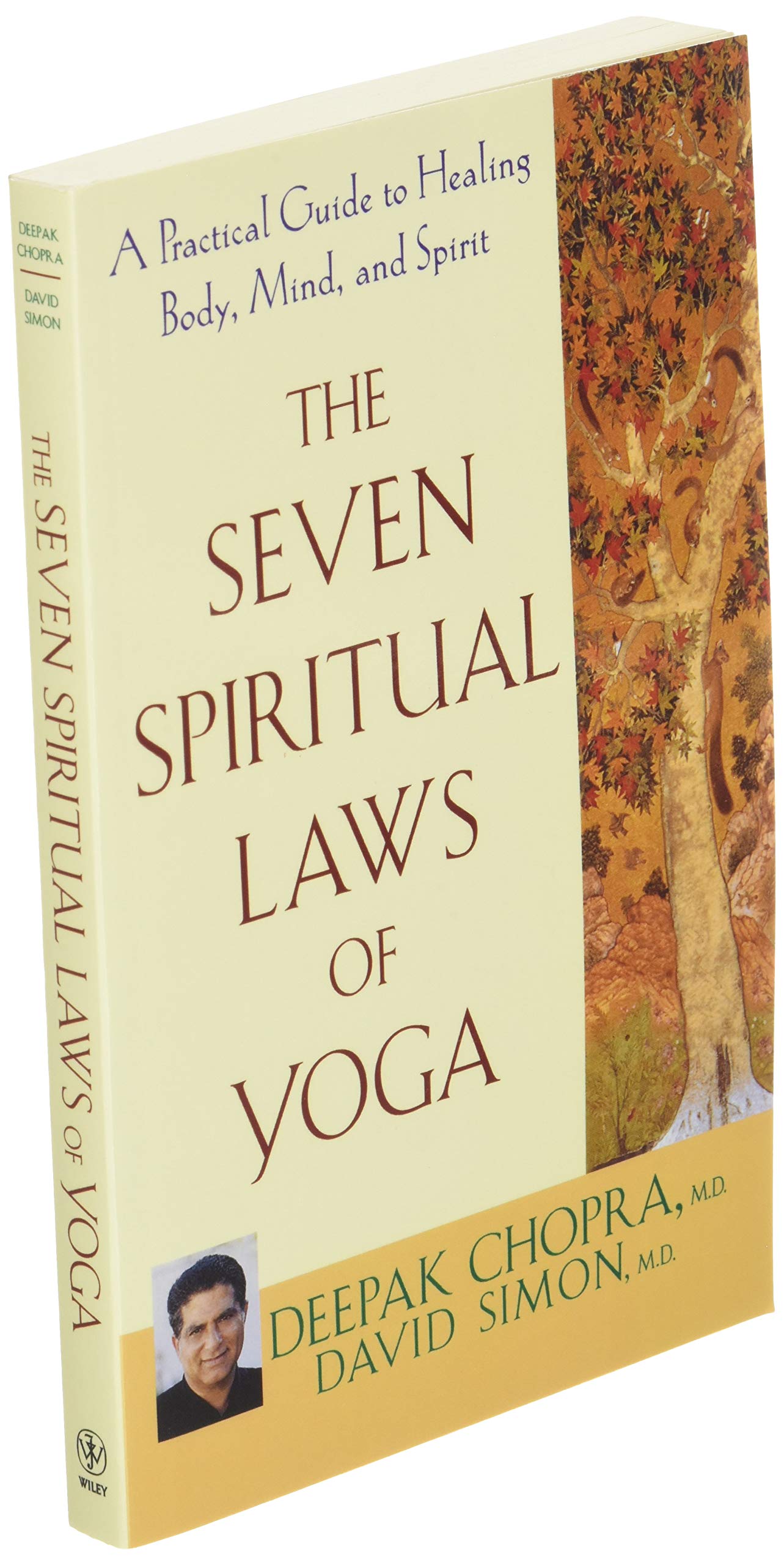 The Seven Spiritual Laws Of Yoga